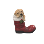 Dog In Red Boot