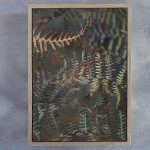 Earthy Ferns 2 Art Print - A4 Framed Canvas With Natural Wood Frame