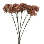- Crown Pink Pack Of 12 Stems - 81CM