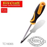 Torx Tamper Proof T25 6X100MM