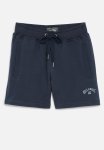 Billabong Arch Short - Navy
