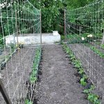 Easy-install 152.4X457.2CM White Climbing Plant Support Net - Durable Versatile Trellis For Garden Growth & Aesthetics Trellis F