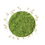 GREE N Tea Powder - 100G
