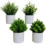 4 Piece - MINI Artificial Bonsai Plants With Pots - Green