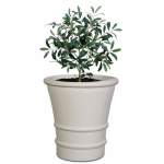 Fortuna Plant Pot - 620MM X 580MM Amper