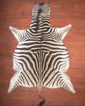 A Grade Zebra Hide 026 L