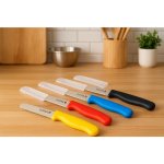 Utility Knife 10CM