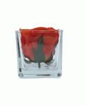 Square Vase 8CM X 8CM X 8CM