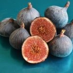 Evita Fig Tree 20LT