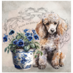 FSC2384 Printed Blanket Assorted
