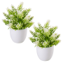 2 Pack - Artificial Frosted Tips Pot Plant - White & Green