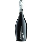 BOTTEGA Millesimato Extra Dry - Single