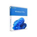 Win 11 Pro 64BIT Eng 1PK Dsp DVD