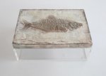 Large Perspex Box Fish Emblem Lid 9X24X17CM