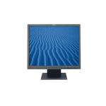 Lenovo Thinkvision L171 17" Lcd Square Monitor - Gold Essential