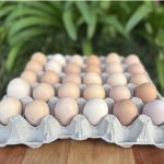 Waterberg Organics – Pasture-raised Eggs Mixed 30S