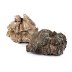 Elephant Skin Stone Small 300 - 600G.