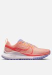 Nike Pegasus Trail 4