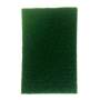 Abrasive Scouring Pad Green 150MM X 230MM 10 Pack