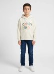 Calvin Klein Kids Color Logo Hoodie - 14Y Brown