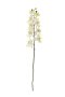 Orchid Stem 77CM White