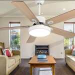 Eugene Metal Ceiling Fan - Black