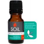 Soil-niaouli Essential Oil 10ML