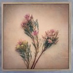 Blushing Brides Square 1 Art Print - 60 X 60CM Framed Canvas With Natural Wood Frame