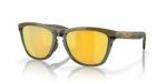 Oakley Frogskins Range Polarized