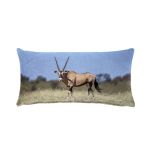 Kgalagadi Gemsbok Oblong Luxury Scatter By Fanie Heymans