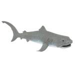 Megamouth Shark By