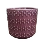 Pinot Noir Pot 17X17X15CM