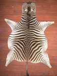 A Grade Zebra Hide 007 L