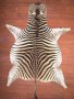A Grade Zebra Hide 007 L