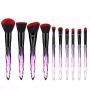 Acrylic Handle Series Professional 10 Piece Cosmetic Brush Set -red & Black
