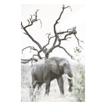 One With Art Print - Premium Stretched Canvas A0