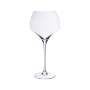 Nova Wine Glass