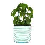 GREE N Stripy Planter - Medium