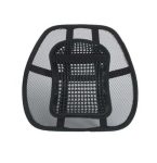 Lumbar Back Support