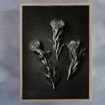 Monochrome Pins 1 Art Print - A3 Framed Canvas With Natural Wood Frame