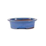 Assorted Glazed Bonsai Pots 8" - Light Blue Oval With Lip 20 X 16 X 5.5CM