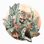 Avalana Cantaloupe Squirrel Monkey Wall Decal - 100CM L X 100CM H