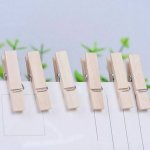Pack Of 20 MINI Wooden Pegs