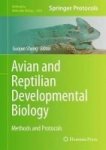 Avian And Reptilian Developmental Biology - Methods And Protocols Hardcover 1ST Ed. 2017