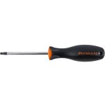 S driver Torx T25 6X100MM Crv With Ergonomic Handle