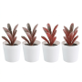 4 Piece Artificial Potted Succulent Planters - White And Red