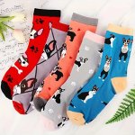 Boston Terrier Socks