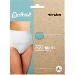Post Birth Support Panty Large White