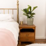 Fiddle Leaf Fig - In Sage Flo Planter