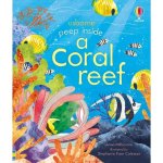 : Peep Inside A Coral Reef